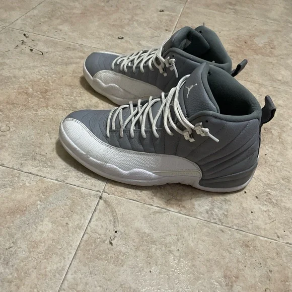 Jordan men’s retro 12STEALTH